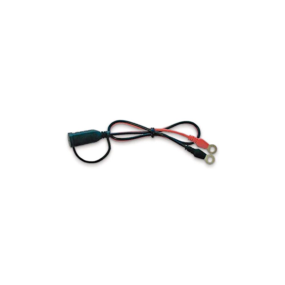 Ringösenkabel 6mm zu CTEK