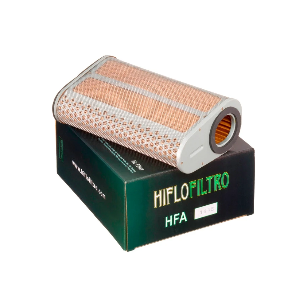 Luftfilter HIFLO FILTRO HFA1618 (wie CAF0618)