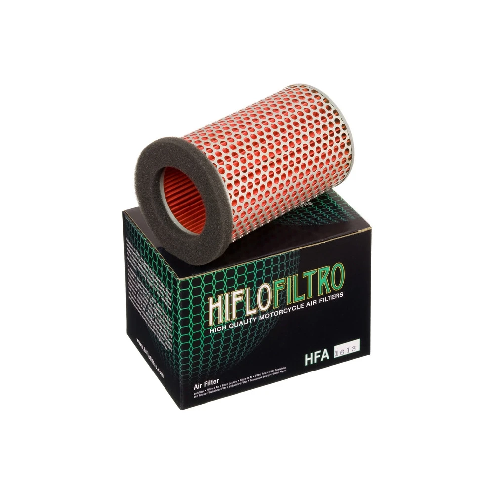 Luftfilter HIFLO FILTRO HFA1613 (wie CAF0613)