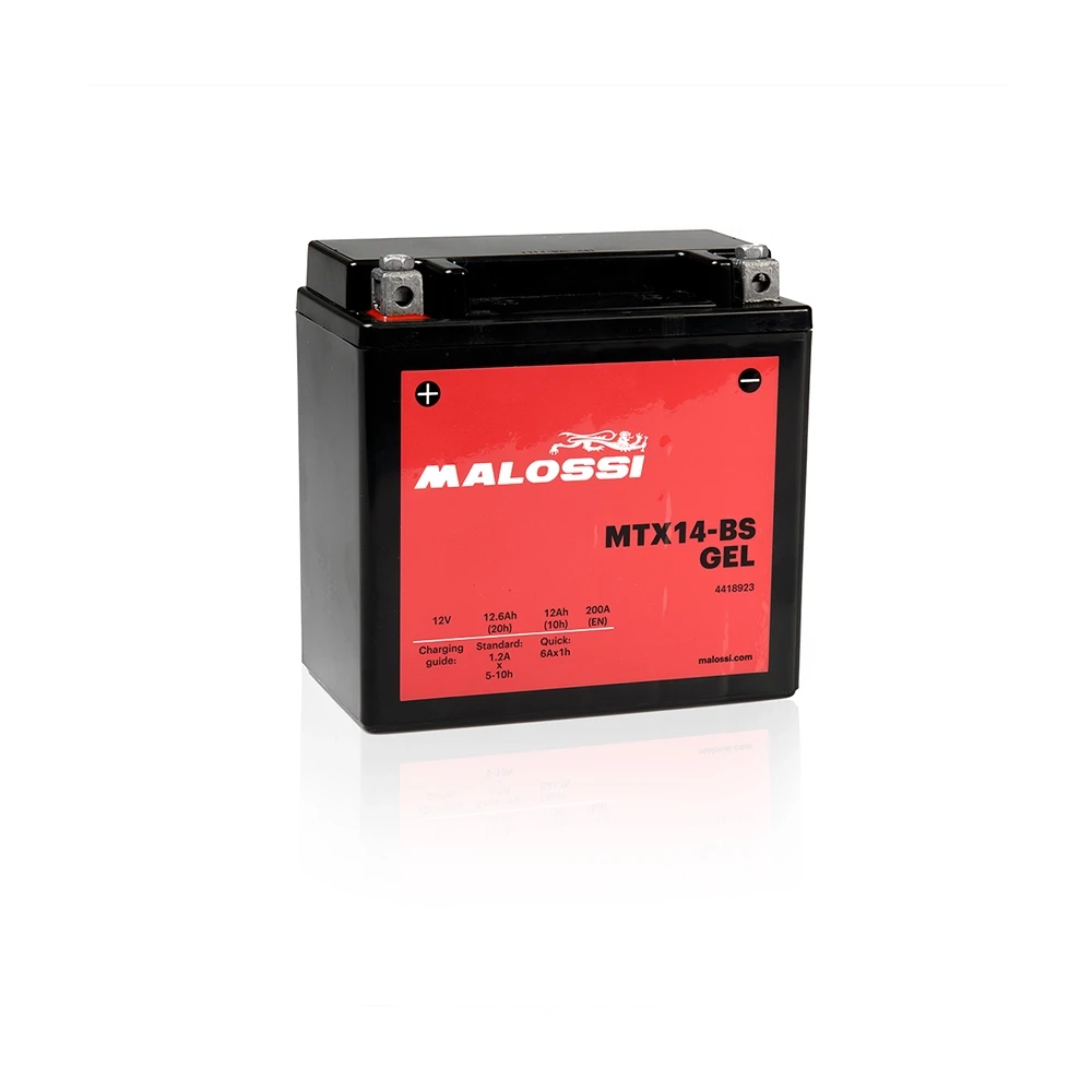 Batterie YTX14-BS GEL Malossi (MTX14-BS)