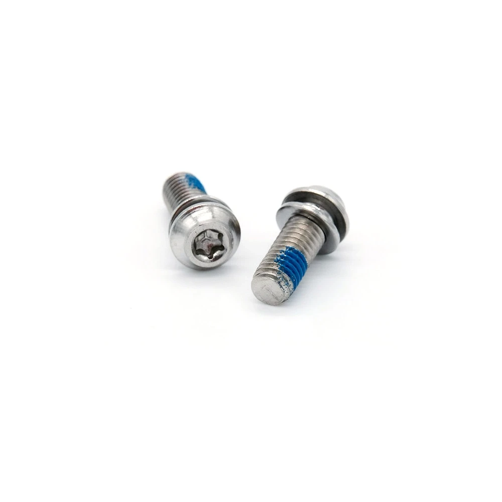 Schrauben-Kit Inox Bremsscheibenadapter Galfer Bike M6x16mm (20 Stk)